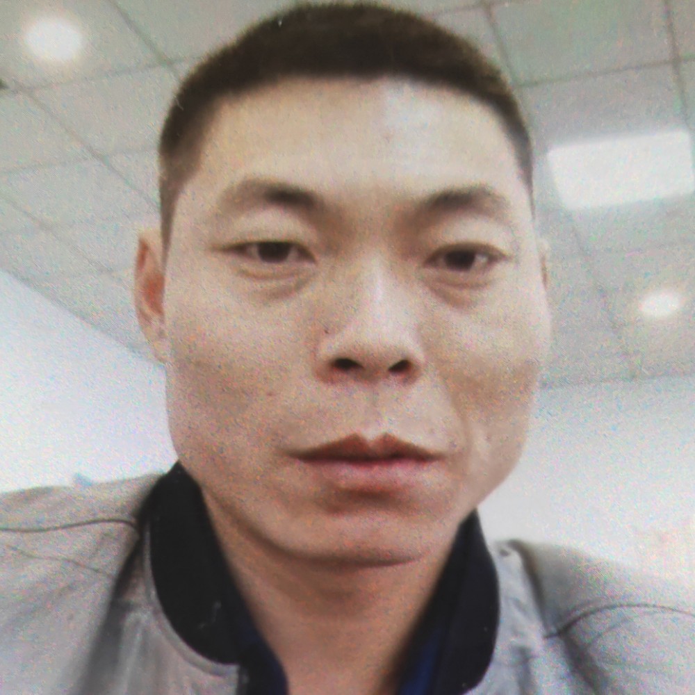 小蚂蚁放弃幽默的照片