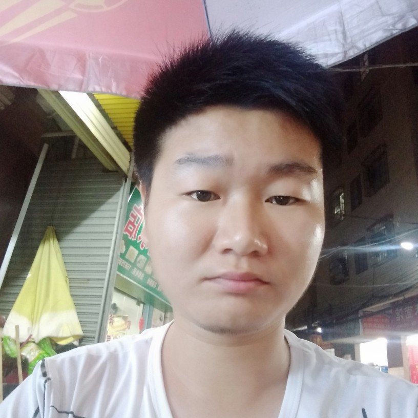 隐形凝眸小刺猬的照片