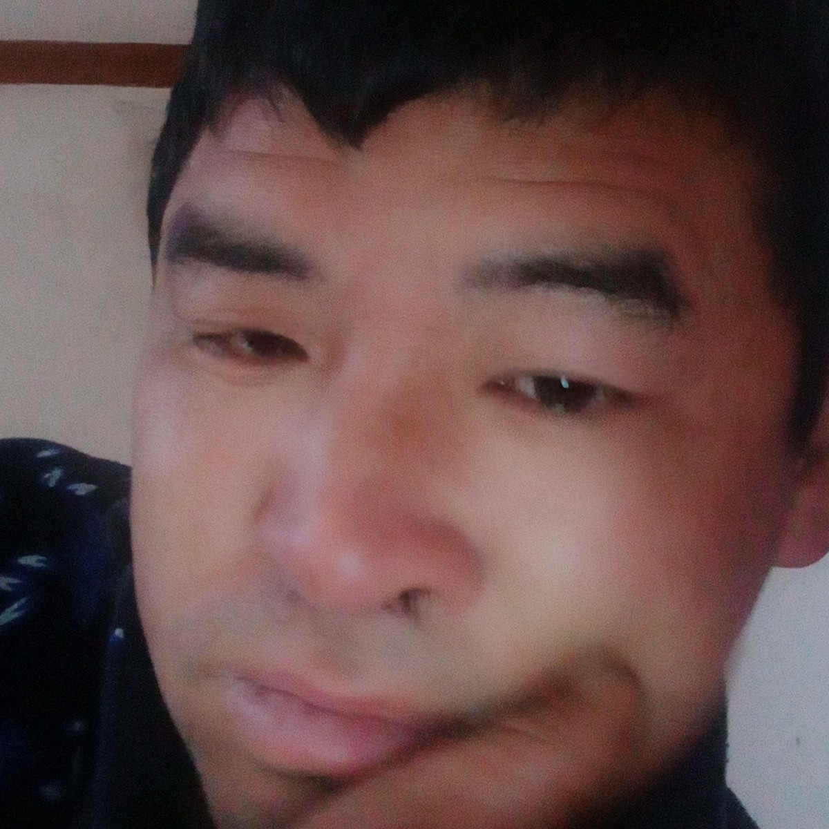 铃铛眼睛大的照片