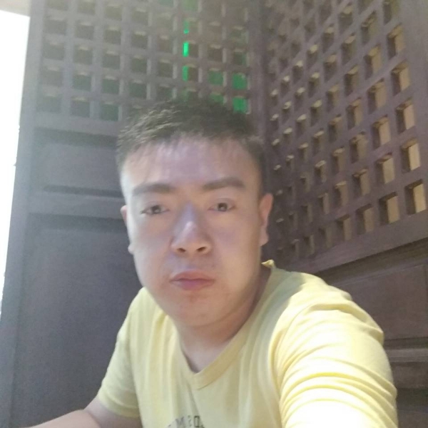 孝顺小猫咪的照片