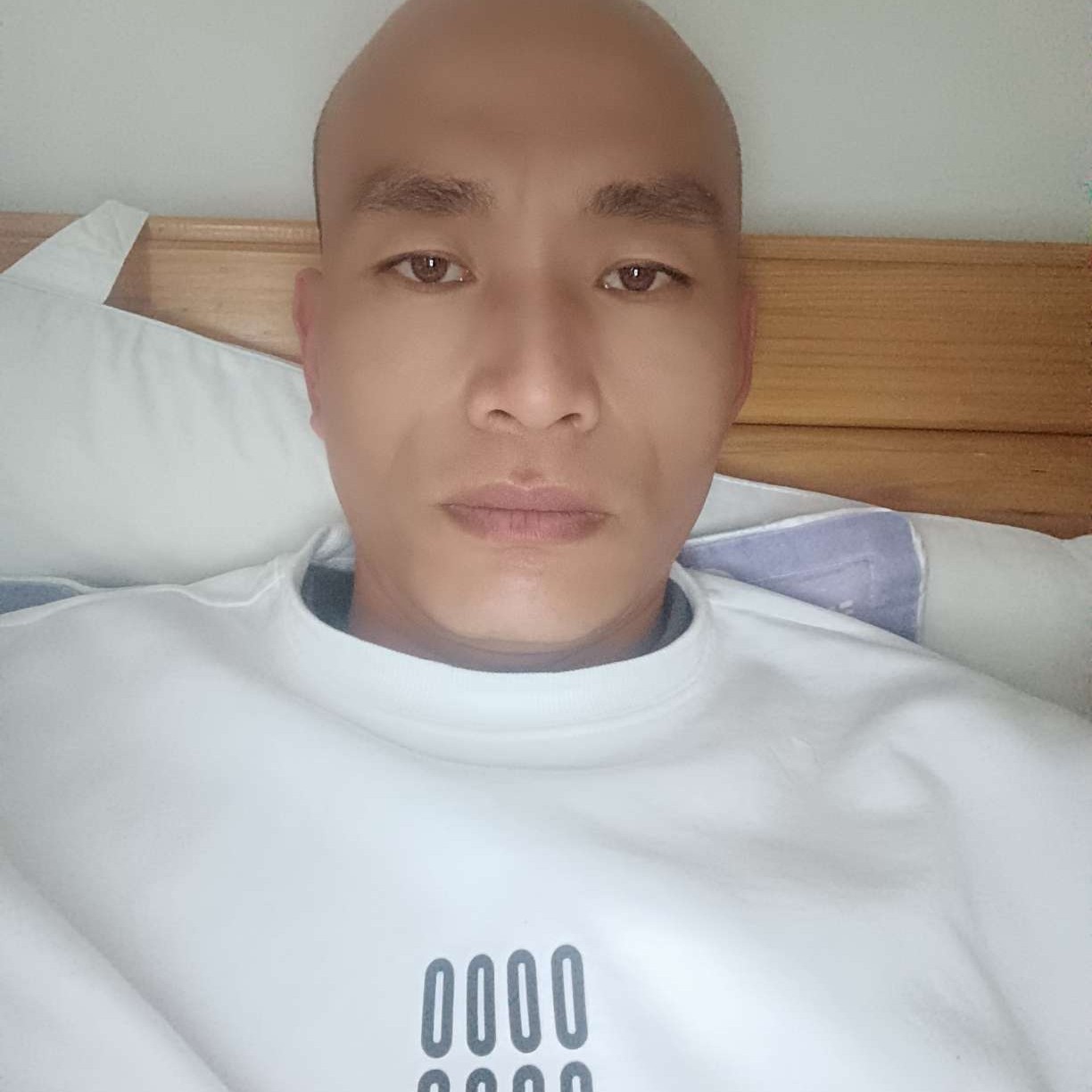 白昼迎高贵的照片