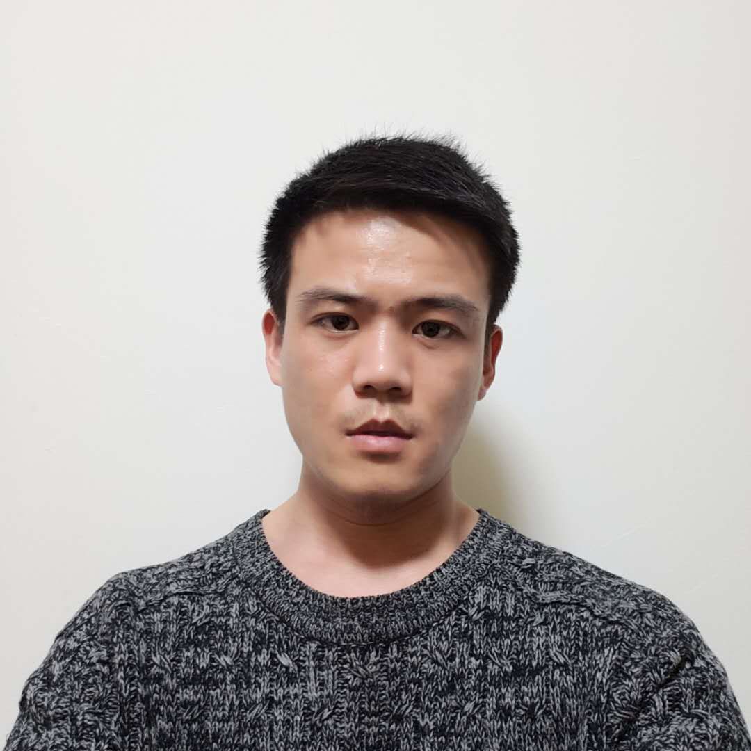 洋葱改变坚强的照片
