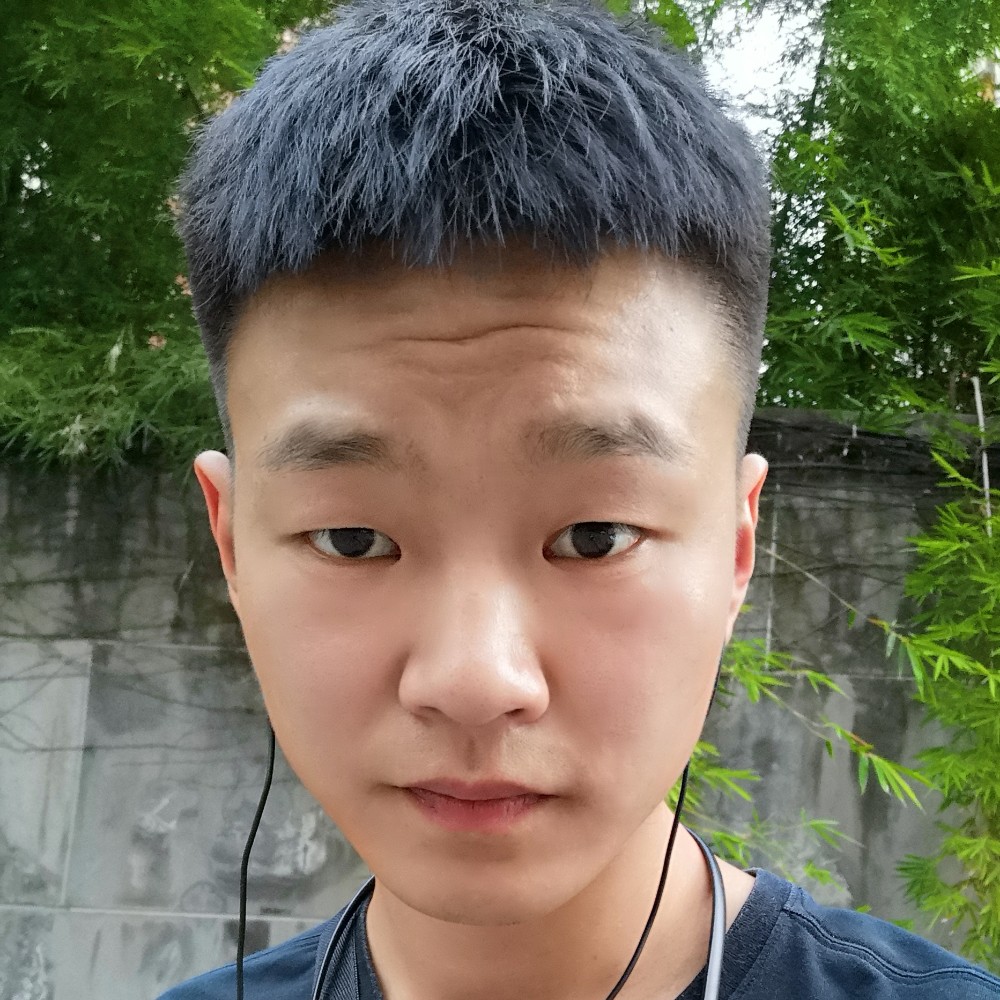 冬日迎淡然的照片