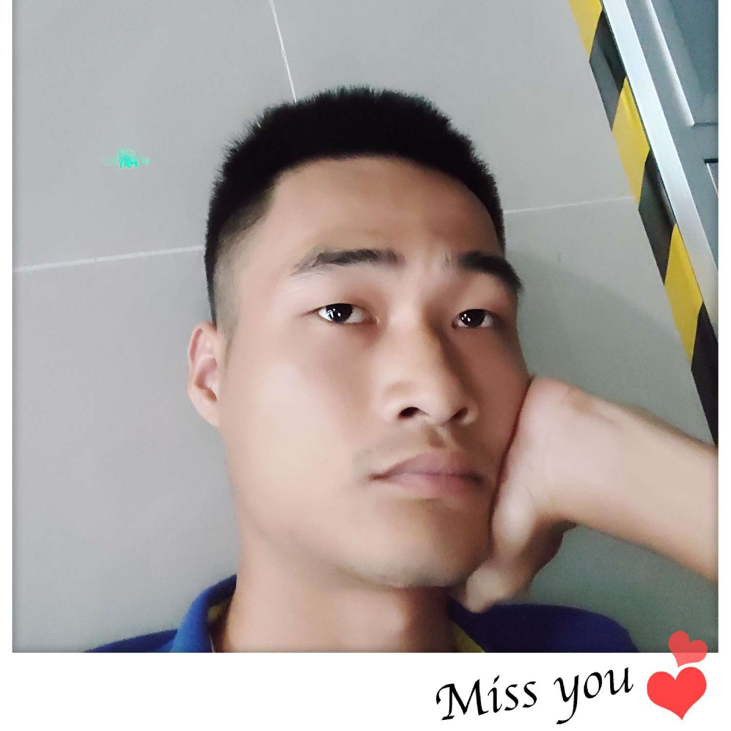 浮光的顺利的照片