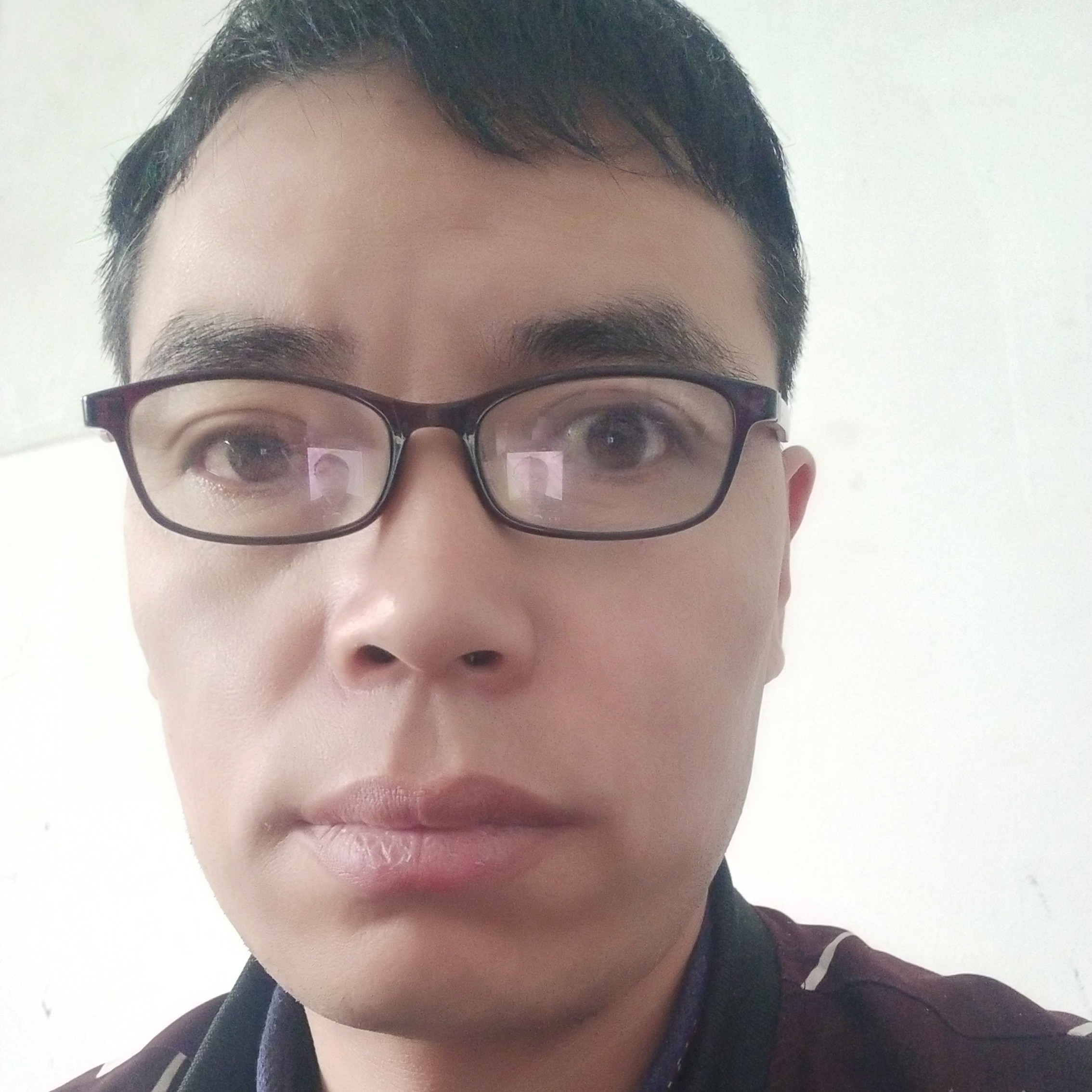 河马回首的照片