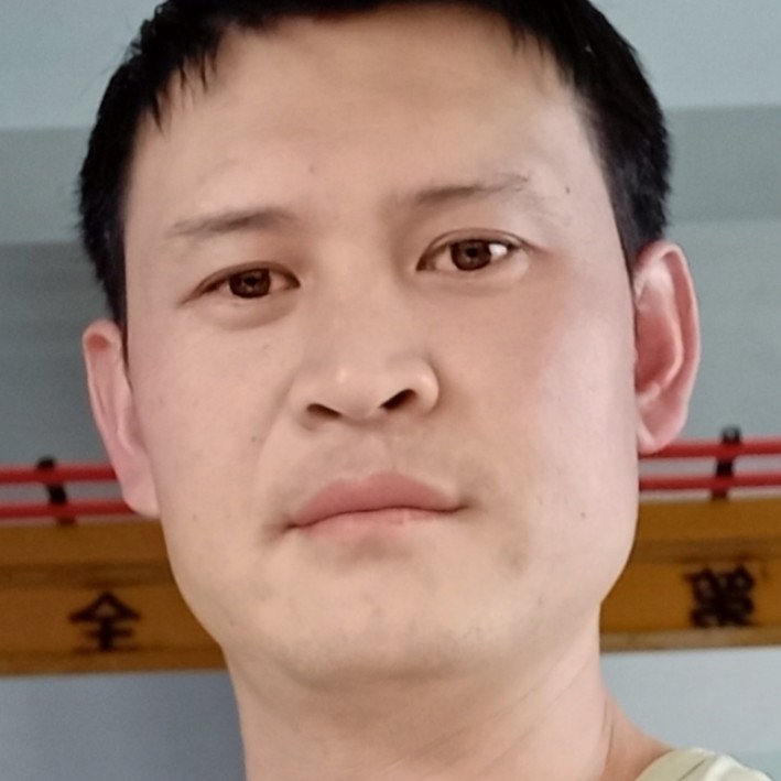 迷路拿小海豚的照片