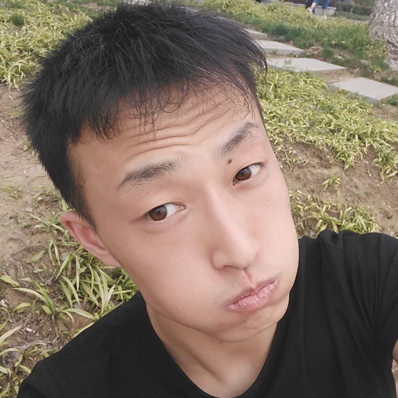 朴树的枫叶的照片