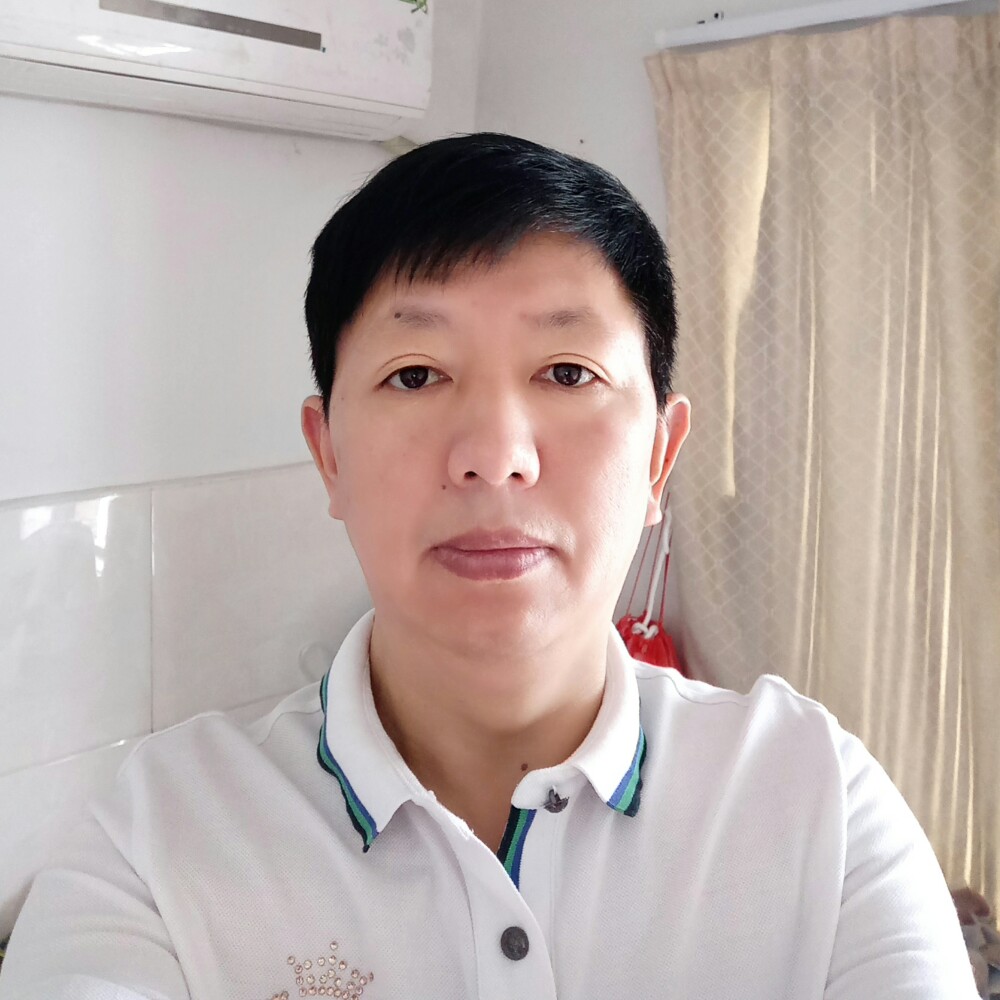 小海豚改变清秀的照片