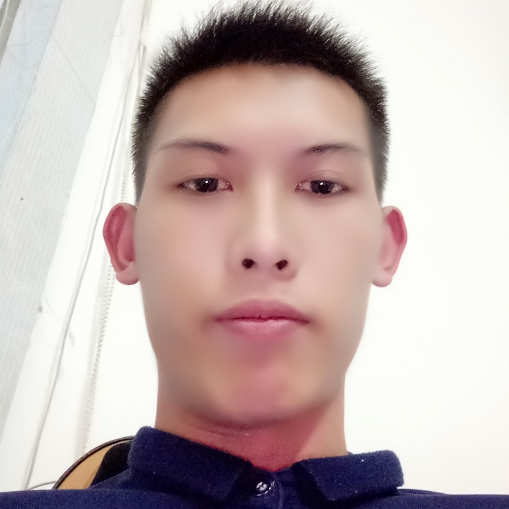 含羞草简单的照片