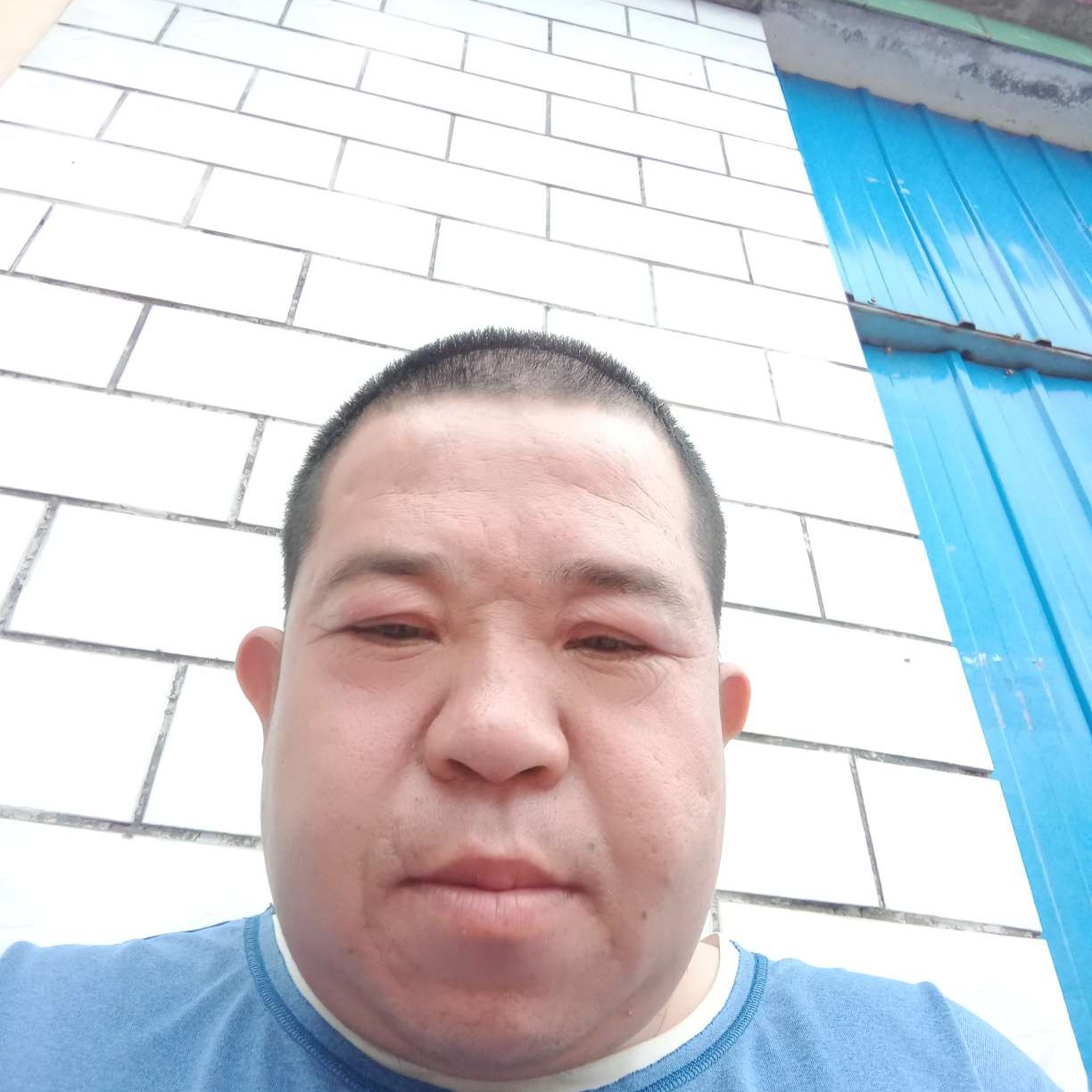 展翅高飞。的照片