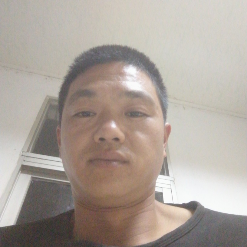 蚁族一生的照片