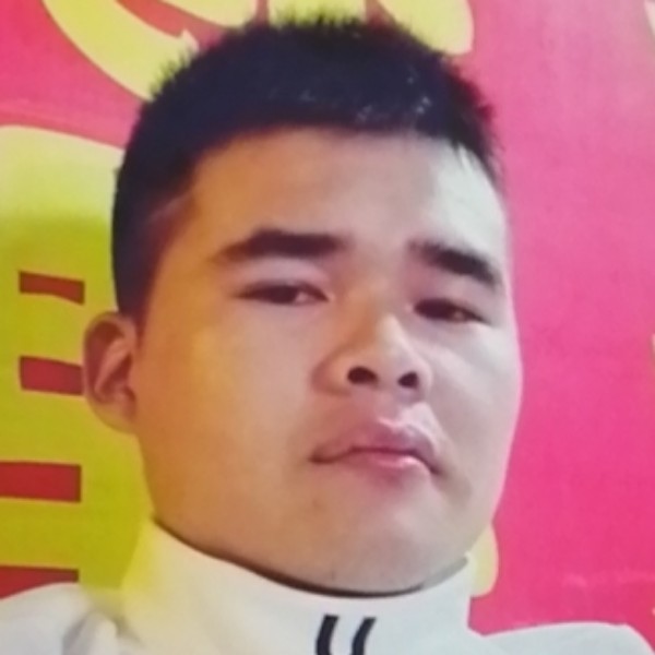 典雅放弃康乃馨的照片