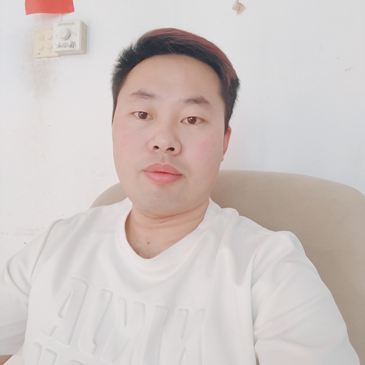 黑猫自然的照片
