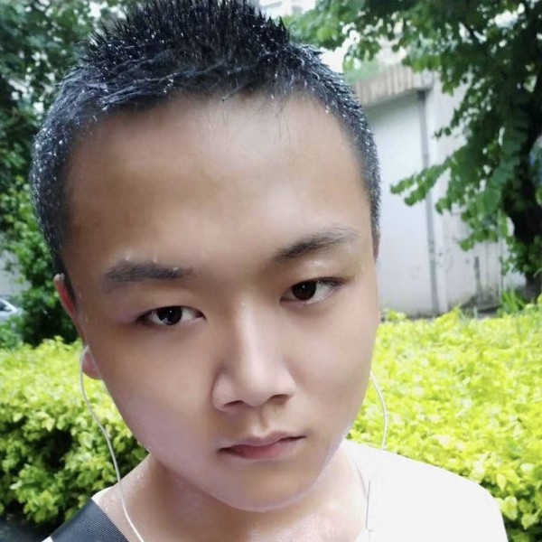觅食的照片