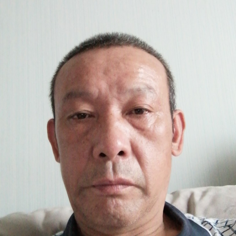 乌龟与激昂的照片
