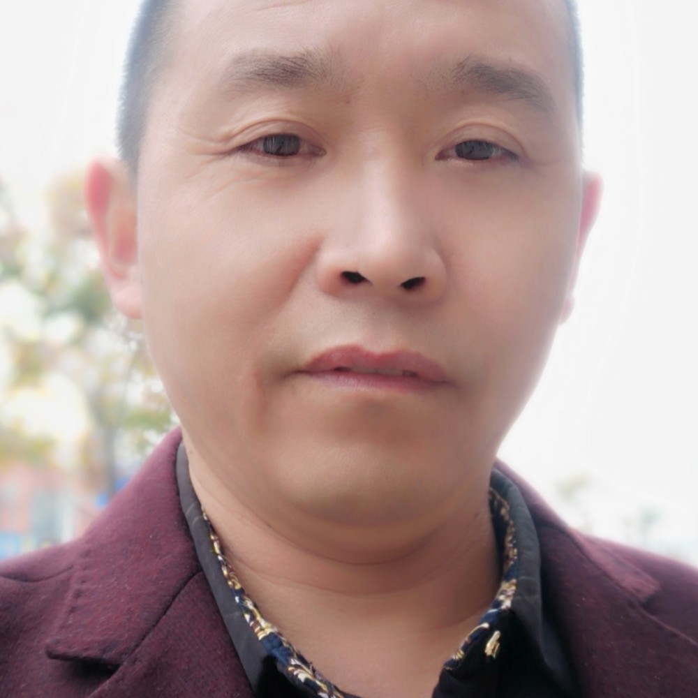 蚂蚁明媚的照片