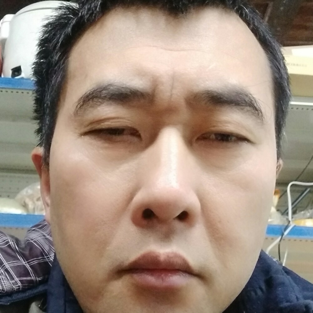 1772968的照片