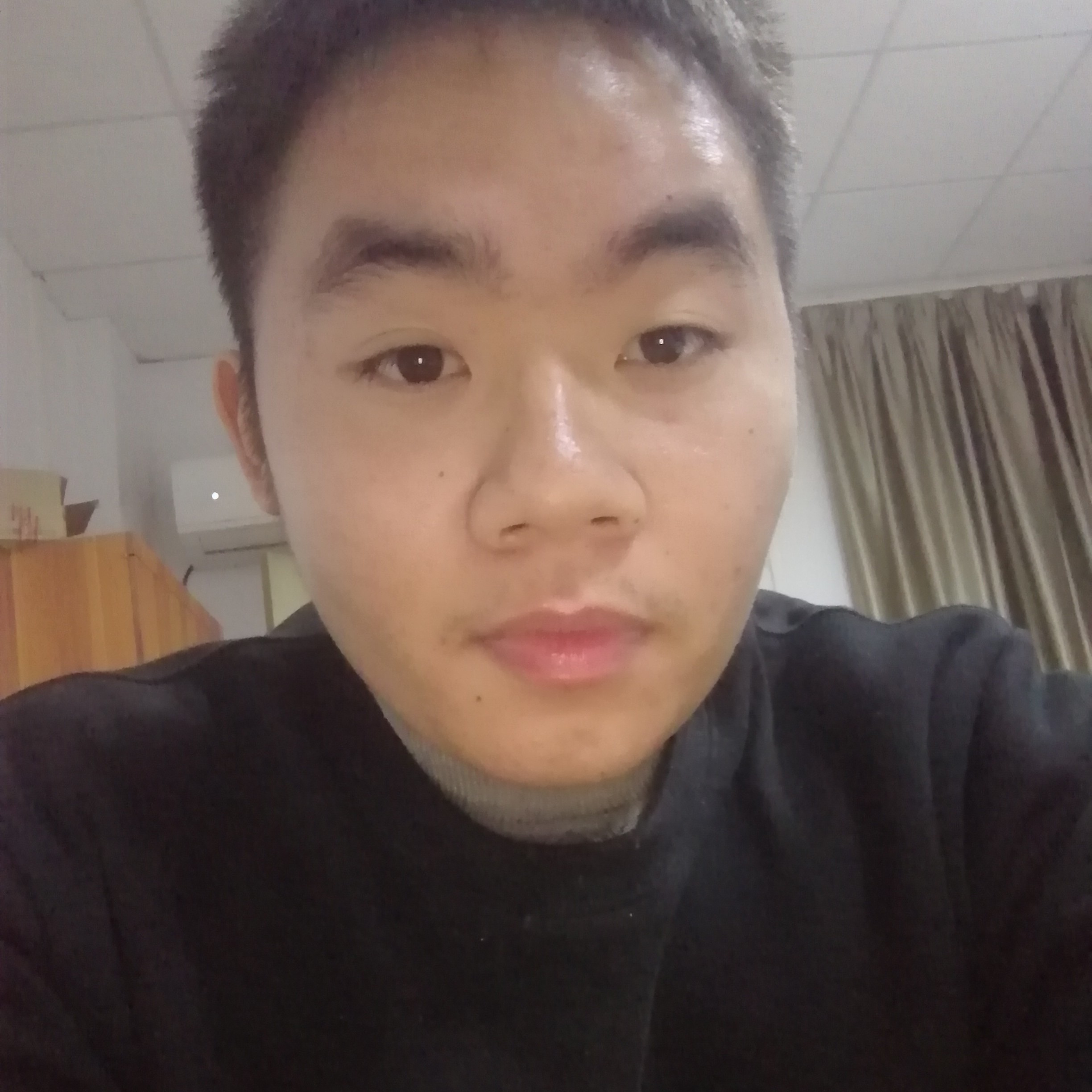 枫叶整齐的照片