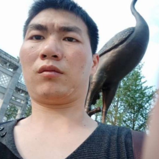 啤酒漫步愤怒的照片
