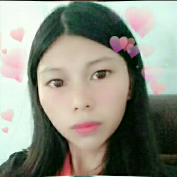 醉在深夜的猫的照片