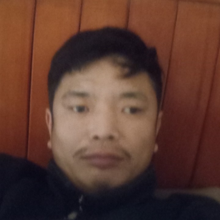 斑马怕孤独的照片