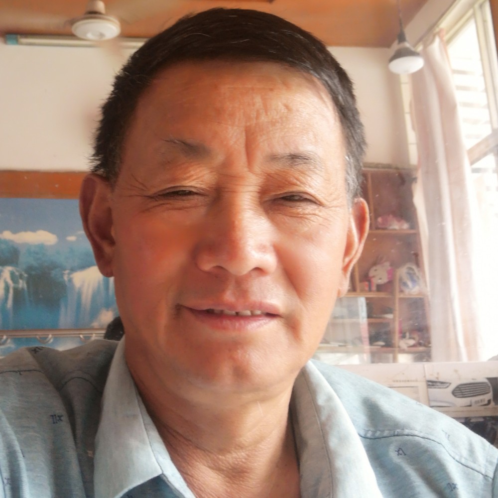 落寞爱恋蚂蚁的照片