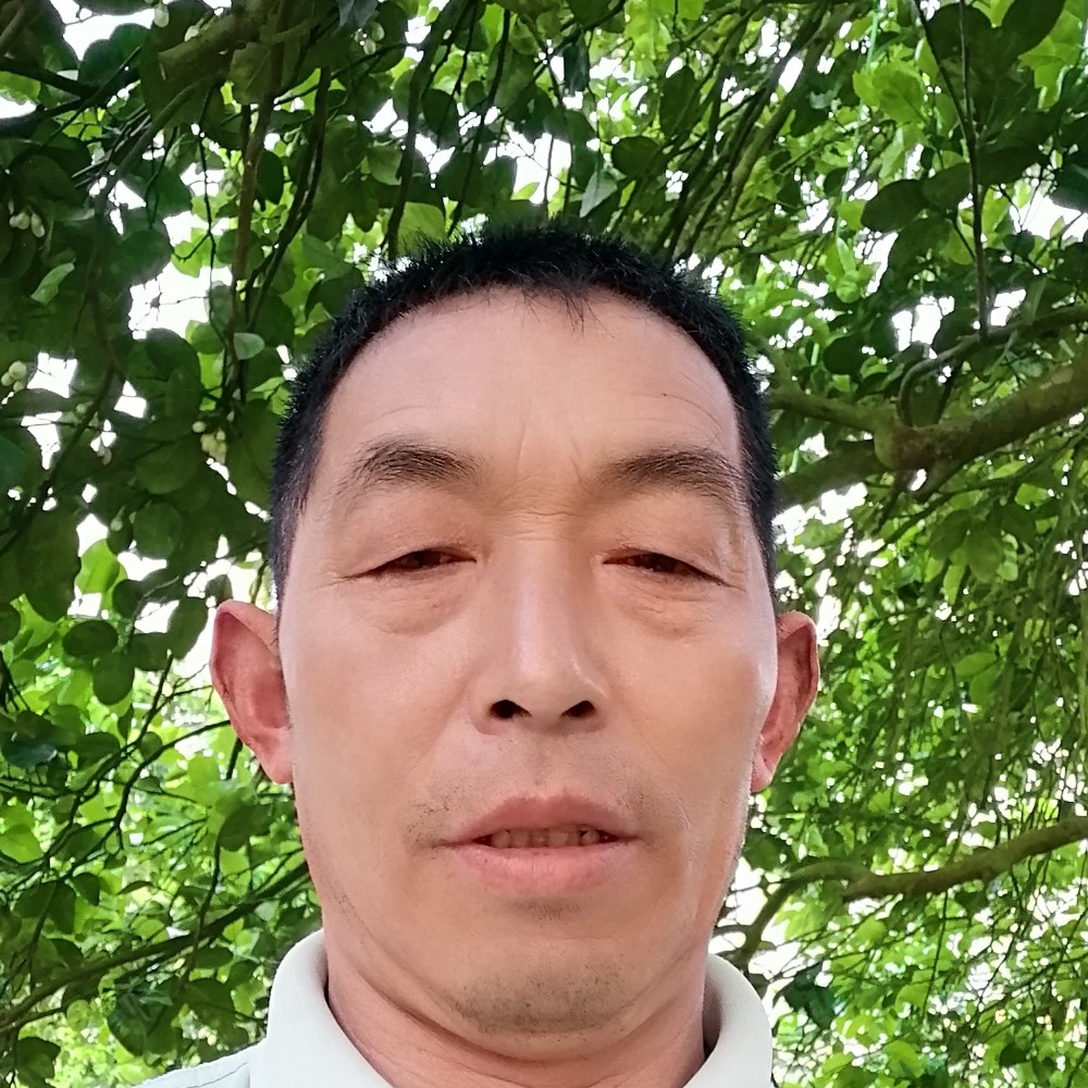 流年的有信封的照片