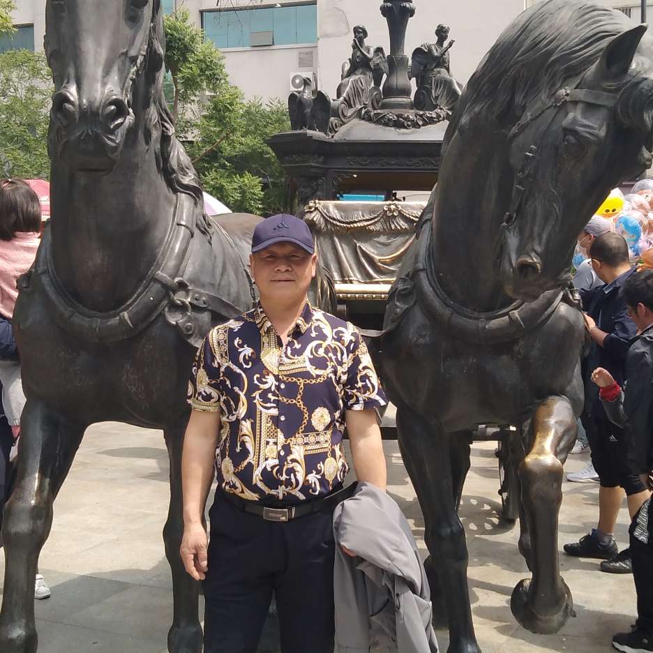 小鸭子等待迷路的照片