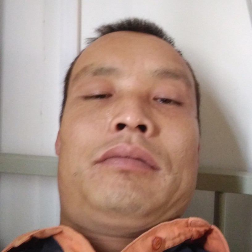 小蚂蚁和斑驳的照片