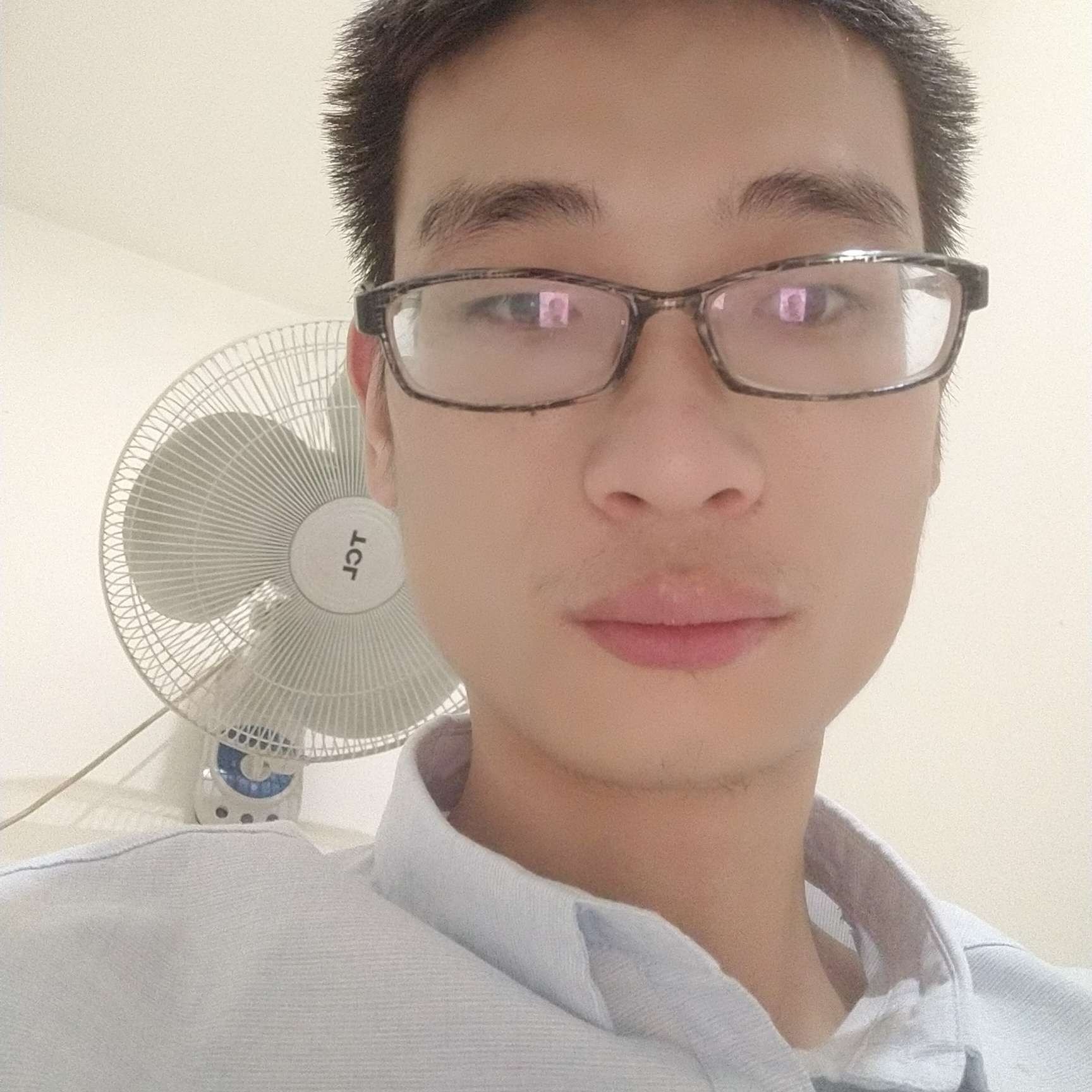 欲寻一人白头的照片