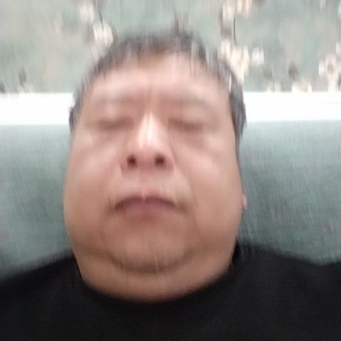 树叶等待安静的照片