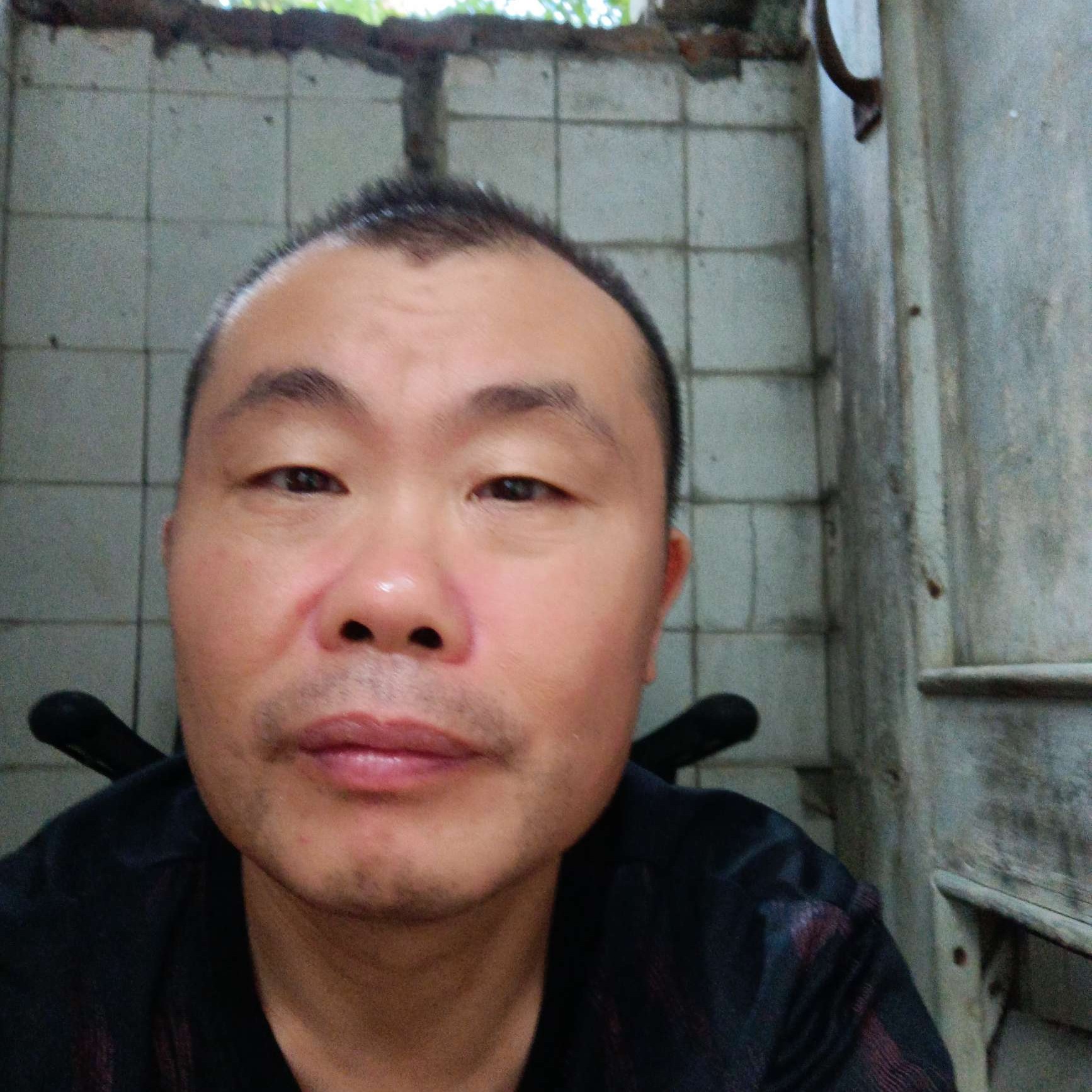 懵懂那羽毛的照片