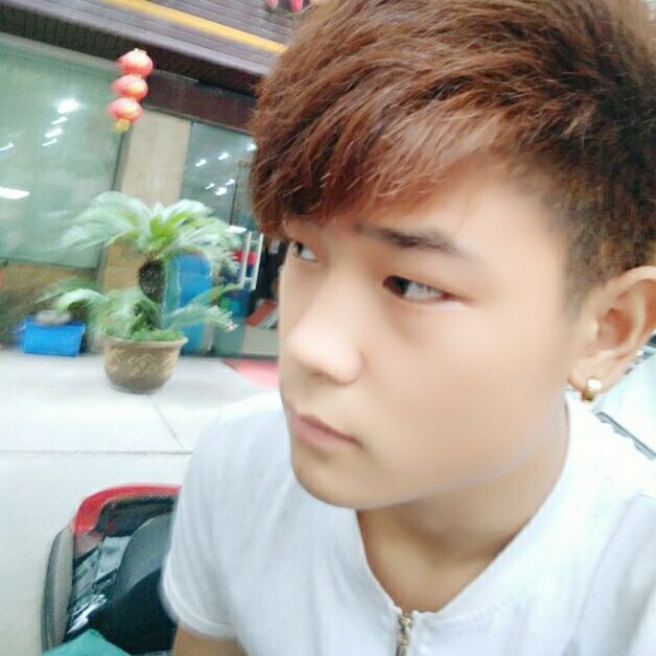 白猫飘逸的照片