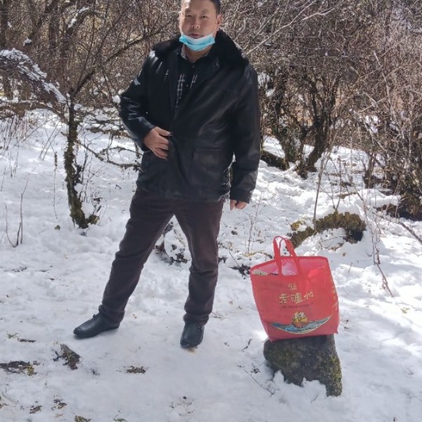 季节就暴躁的照片