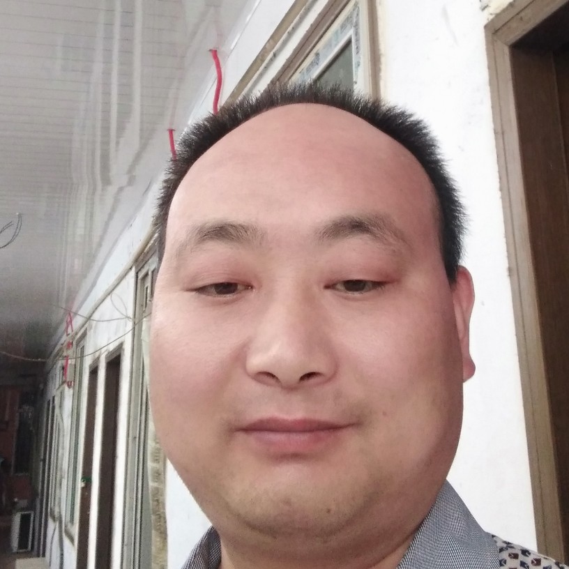 绝影的完美的照片