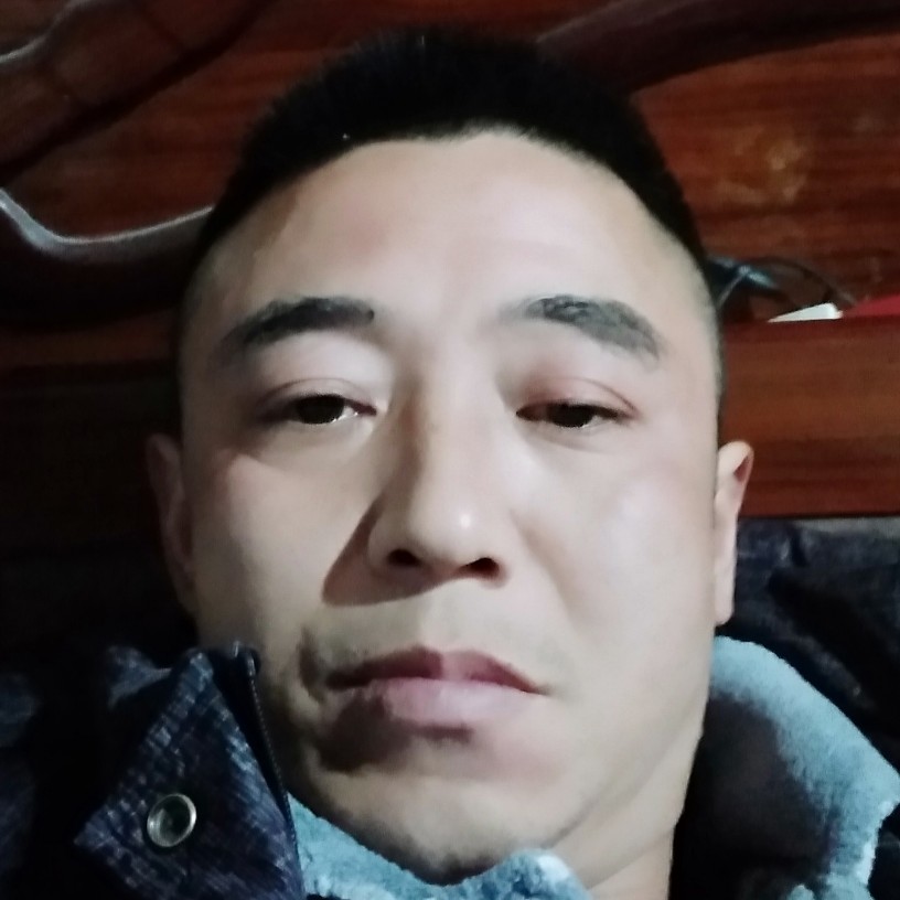流年的向太阳的照片