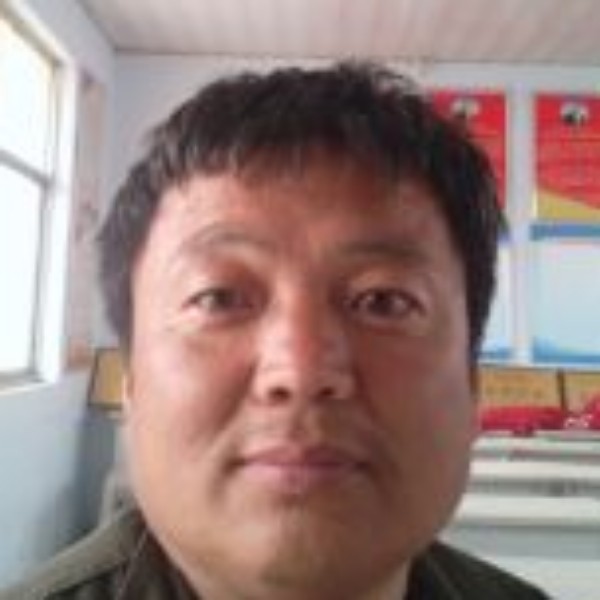 冲击皮的照片