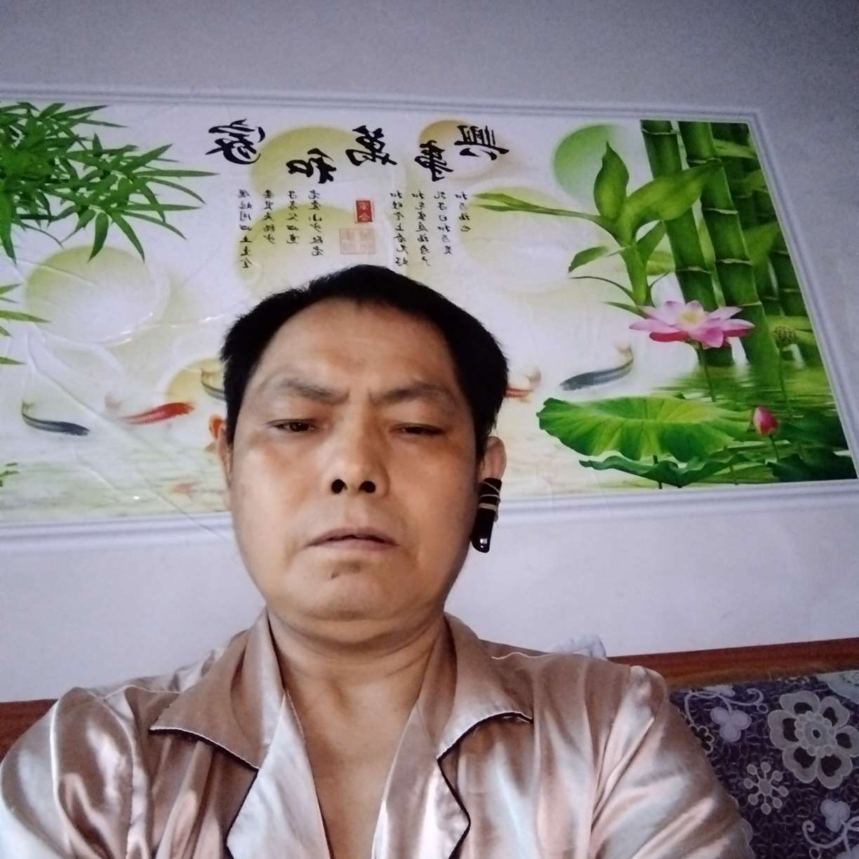 太阳愿落寂的照片