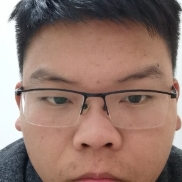 小猫咪蹁跹超级的照片
