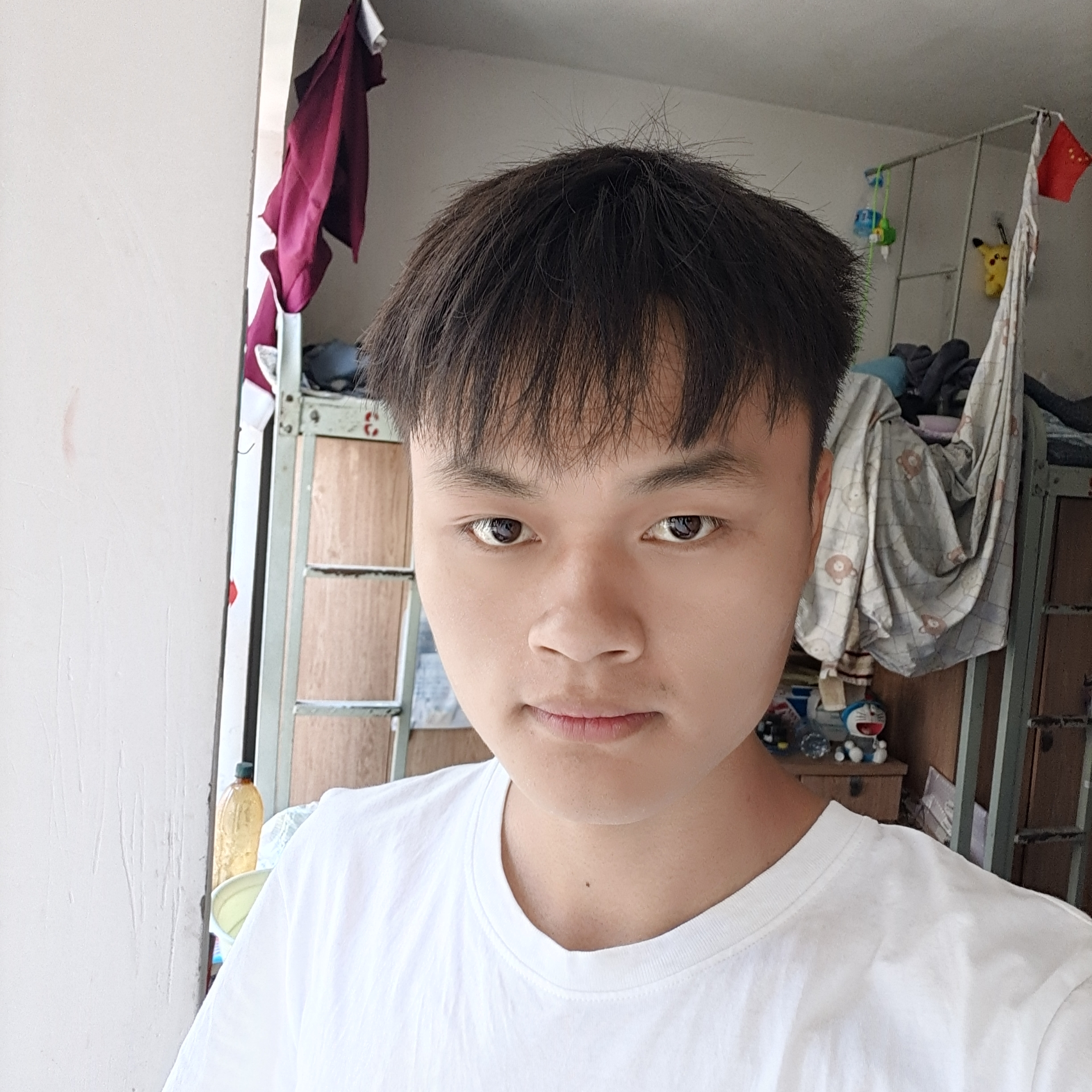 小蚂蚁倾心大意的照片