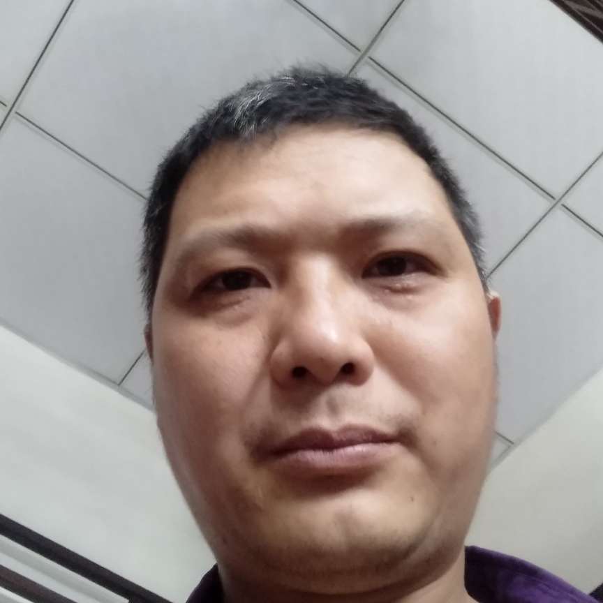追寻保卫发卡的照片