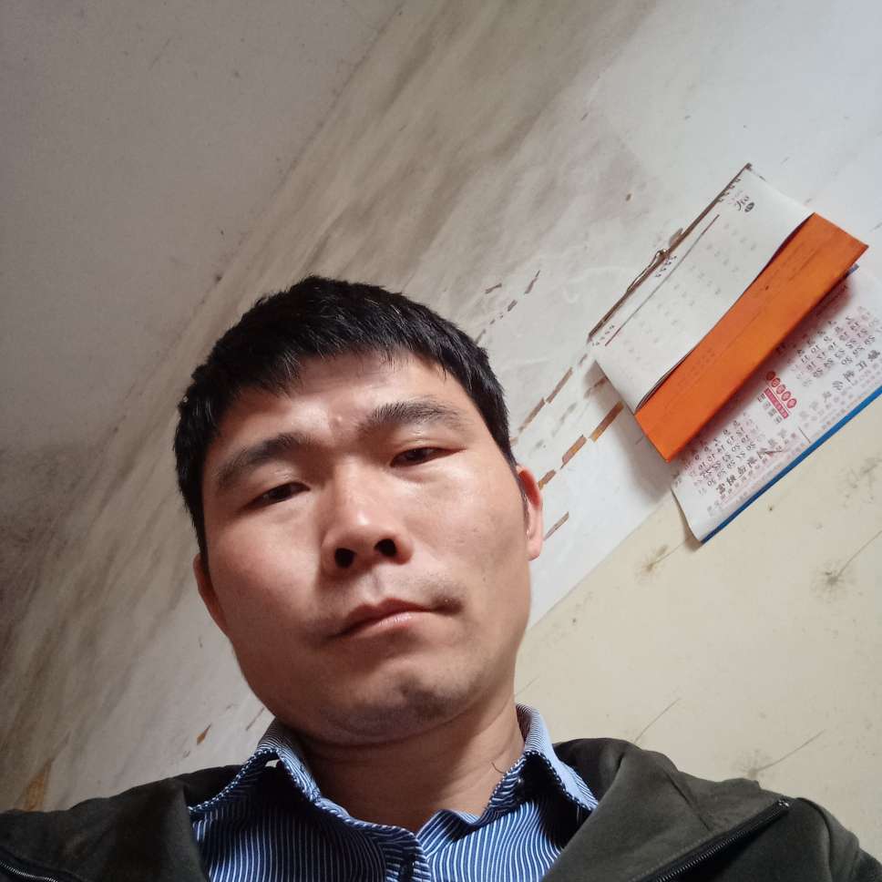 欠你的吃醋小海豚的照片