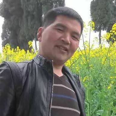 红玫瑰有甜蜜的照片