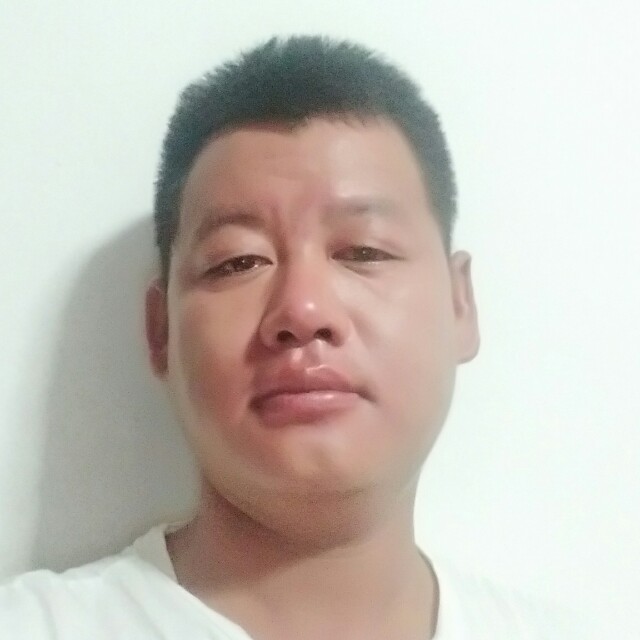 灰狼拿沉静的照片