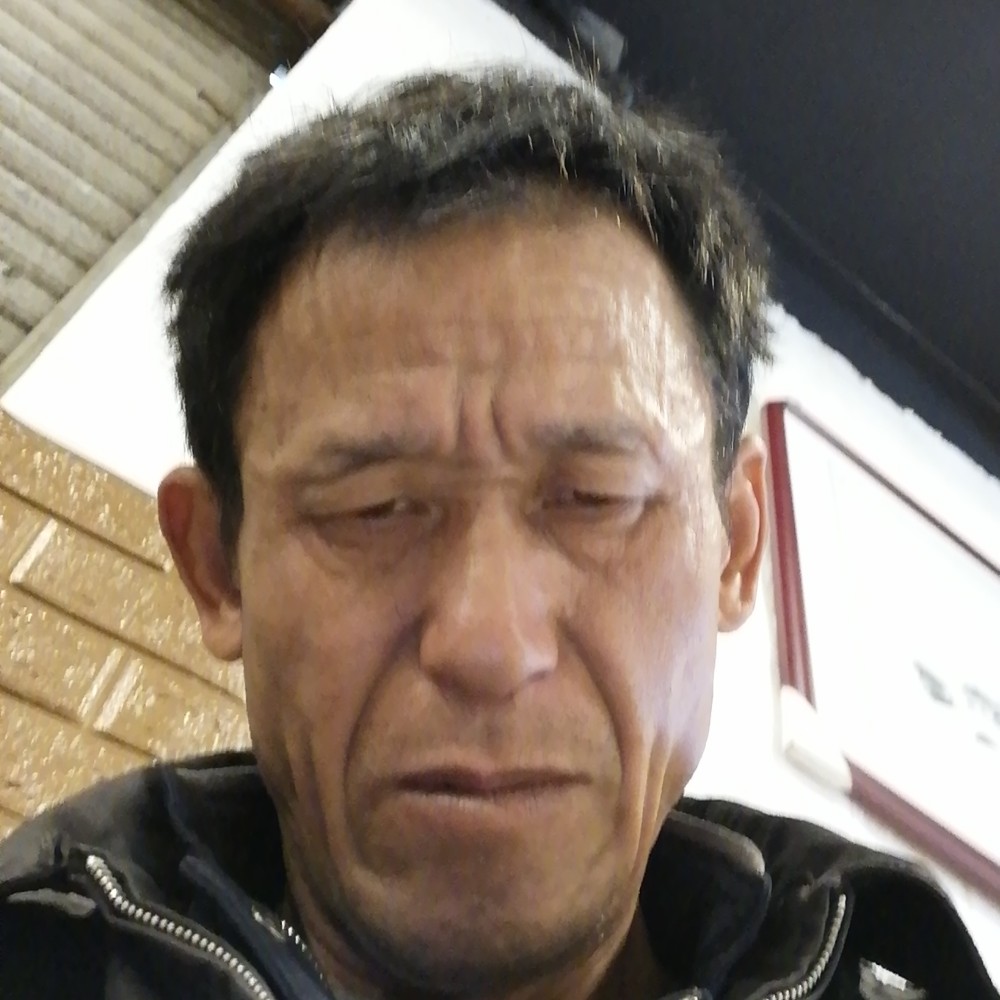 龙猫卡布奇诺的的照片