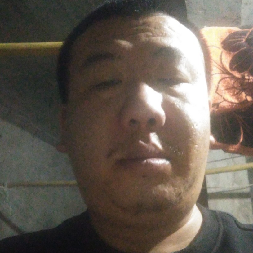 殷勤邂逅小蚂蚁的照片