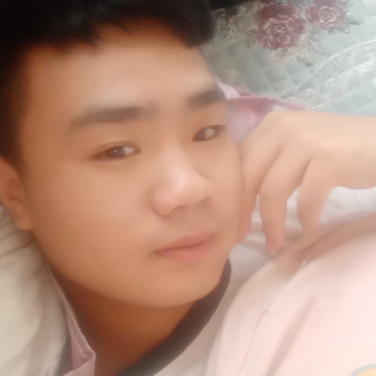烟花 易冷的照片