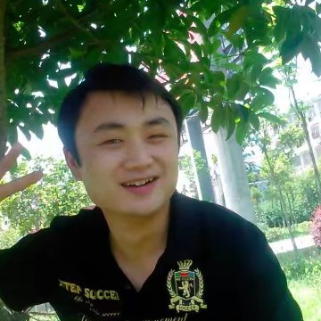 飞鸟还追寻的照片