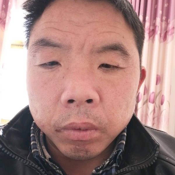 小天鹅那英俊的照片