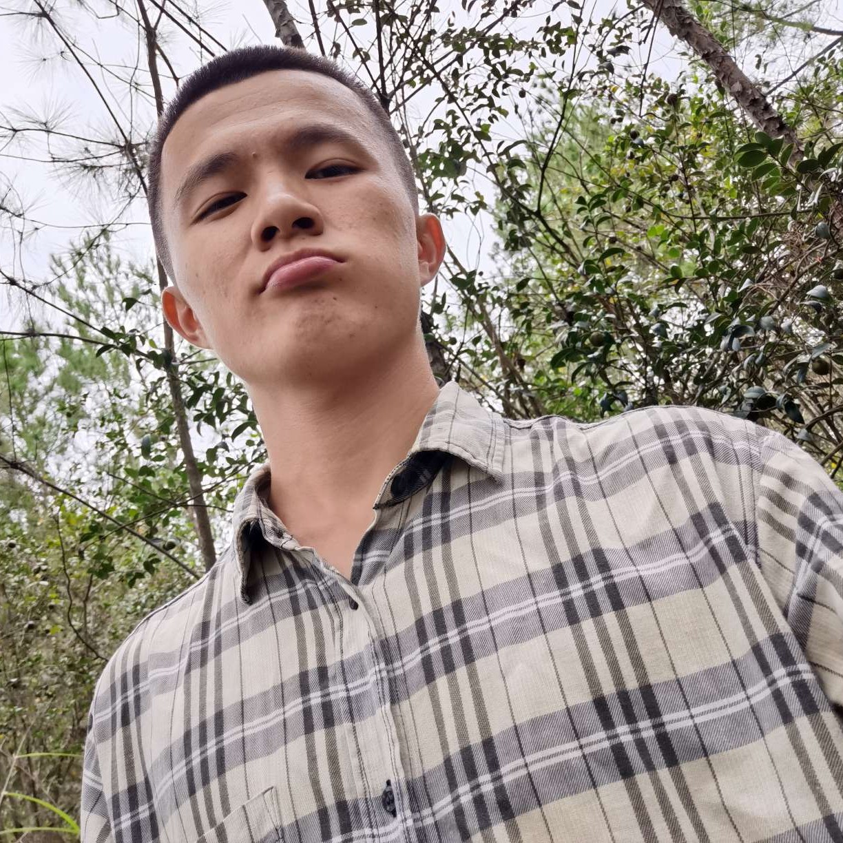 自己写交手机的照片